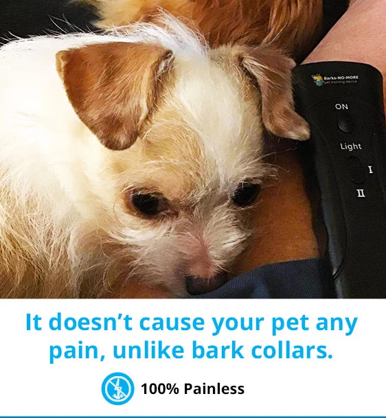 barks-no-more-slider3